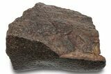 Chondrite Meteorite ( g) - Western Sahara Desert #247560-1